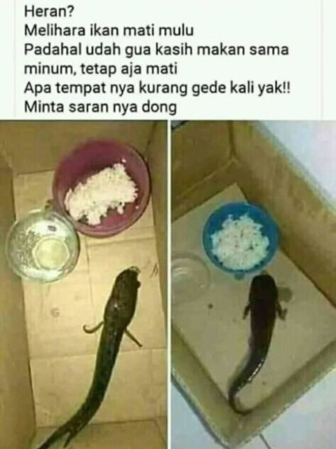 Bunda, Tolong Pantau Suami Baik-Baik Saat Mereka Gabut, ya. Sedih Kalau Kelakuannya Begini :(