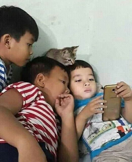 Kelakuan Kocak Kucing Ikut Nimbrung Majikannya Saat Nongkrong. Makanya Nurut, biar Diajak Terus~