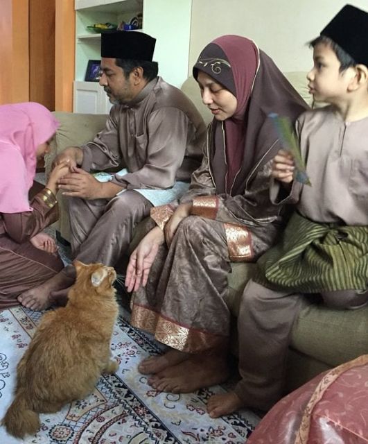 Kelakuan Kocak Kucing Ikut Nimbrung Majikannya Saat Nongkrong. Makanya Nurut, biar Diajak Terus~