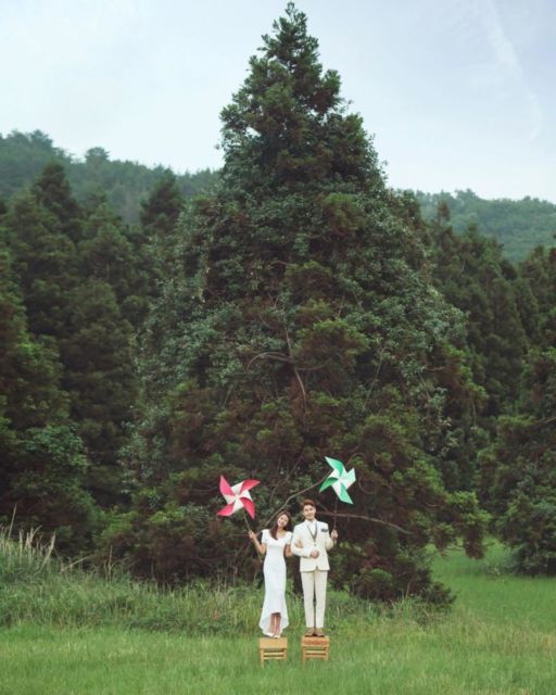 8 Ide Pre-wedding ala Korea di Alam Terbuka. Romantisnya Berpose Cantik di Taman Bunga!