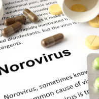 Fakta Seputar Norovirus yang Merebak di Indonesia, Bisa Menular Lewat Makanan. Simak Gejalanya!