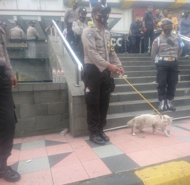 10 Hal Konyol yang Ditemukan Pasca Demo RUU Cipta Kerja Tempo Lalu. Kadang Protes Harus Lucu Gini!