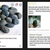 Drama Kocak Jualan Batu di Online Shop. Ternyata Apa pun Kalau Ditelateni Bisa Jadi Duit~