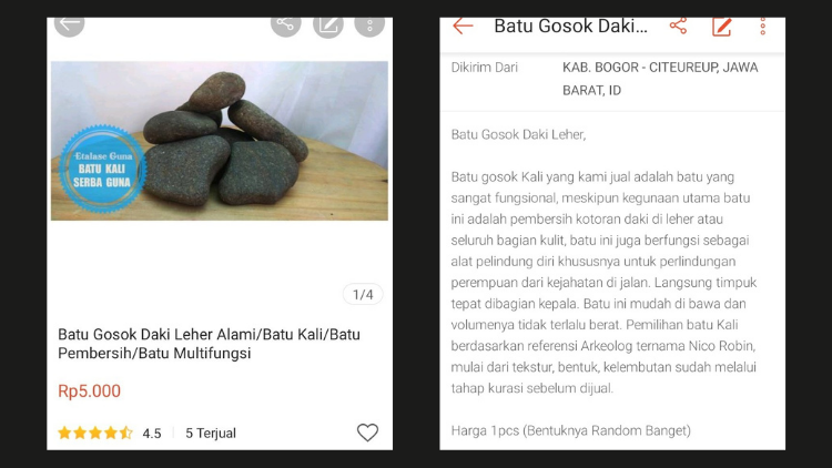 Drama Kocak Jualan Batu di Online Shop. Ternyata Apa pun Kalau Ditelateni Bisa Jadi Duit~