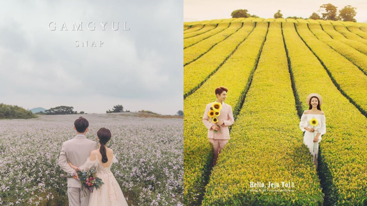 8 Ide Pre-wedding ala Korea di Alam Terbuka. Romantisnya Berpose Cantik di Taman Bunga!