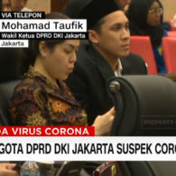 Dituding Tugasnya di DPRD Cuma Selfie Gara-Gara Sebuah Video, Tina Toon Beri Klarifikasi