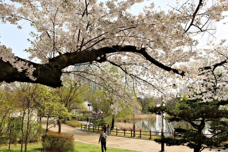 7 Lokasi Syuting Drama Korea ini Jadi Langganan Tempat Foto Pre-wedding Estetik. Terlalu Cantik!