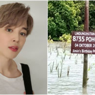 Rayakan Ulang Tahun Jimin BTS, ARMY Indonesia Tanam 8000-an Pohon Mangrove. Salut!