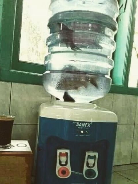 Kocaknya 11 Pemanfaatan Dispenser ini Bikin Nyengir Kuda. Idenya Out of The Box Banget, Bun~