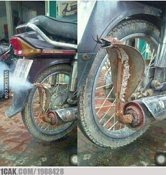 11 Modifikasi Knalpot Motor yang Nyeleneh Banget. Baru Lihat Aja Udah Sebal, Apalagi Dengar Suaranya!