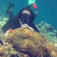 #DiIndonesiaAja-Yuk Liburan Seru di Pulau Menjangan, Taman Nasional Bali Barat