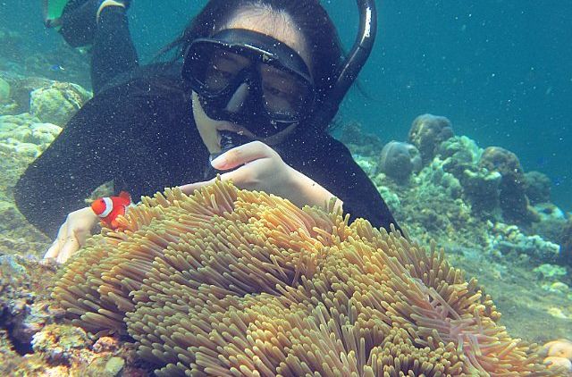 #DiIndonesiaAja-Yuk Liburan Seru di Pulau Menjangan, Taman Nasional Bali Barat