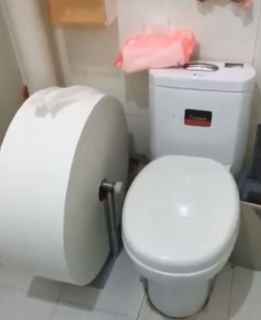 Jenis Tisu Toilet yang Mesti Kamu Hindari. Bikin Bimbang!