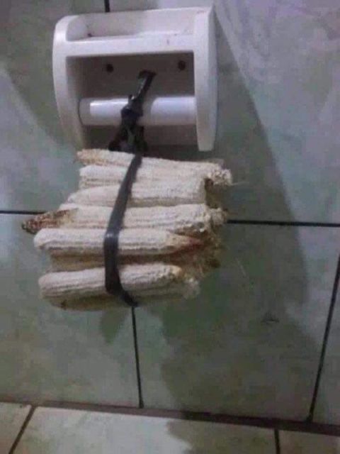 Jenis Tisu Toilet yang Mesti Kamu Hindari. Bikin Bimbang!