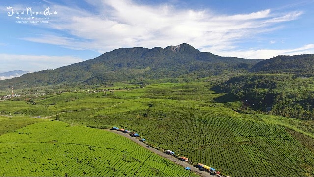 #DiIndonesiaAja-Keindahan wisata Alam Kebun Teh Danau Kembar yang Dinginnya Berasa Seperti di Eropa.