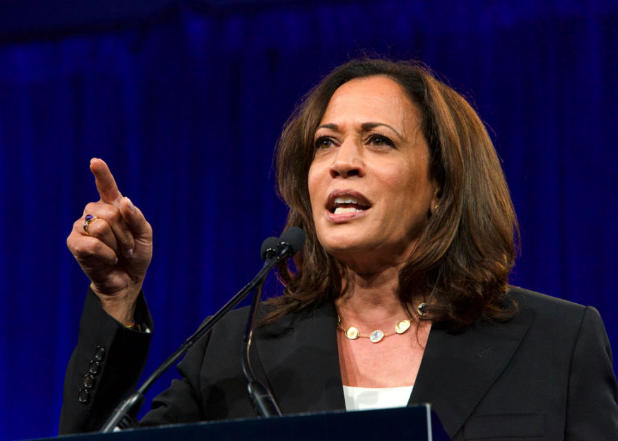 5 Fakta Menarik Kamala Harris, Wapres Terpilih Berkulit Hitam dan Perempuan Pertama di AS