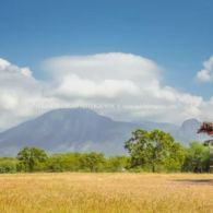 #DiIndonesiaAja-Mengulik Pesona Alam Bak Negeri Afrika, Siap-Siap untuk Kagum dengan Keindahannya