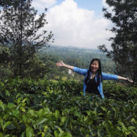 #DiIndonesiaAja-Ademnya Puncak Bogor yang Selalu Jadi Sasaran Akhir Pekan Warga Kota