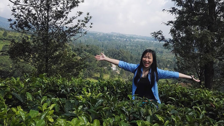 #DiIndonesiaAja-Ademnya Puncak Bogor yang Selalu Jadi Sasaran Akhir Pekan Warga Kota