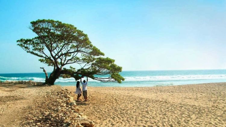 #DiIndonesiaAja-Pantai Pok Tunggal. Perjuangan Menuju Surga Tersembunyi di Kabupaten Gunung Kidul D.I. Yogyakarta.