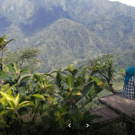 #DiIndonesiaAja-Selain Sebagai Kota Perjuangan Kartini, Jepara Menyimpan Beragam Wisata Sejarah dan Keindahan Alam yang Langka. Sudah Pernah menyambanginya?