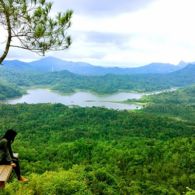 #DiIndonesiaAja-5 Pulau di Indonesia yang Menjadi Pusat Pariwisata oleh Para Wisatawan Lokal Maupun Mancanegara