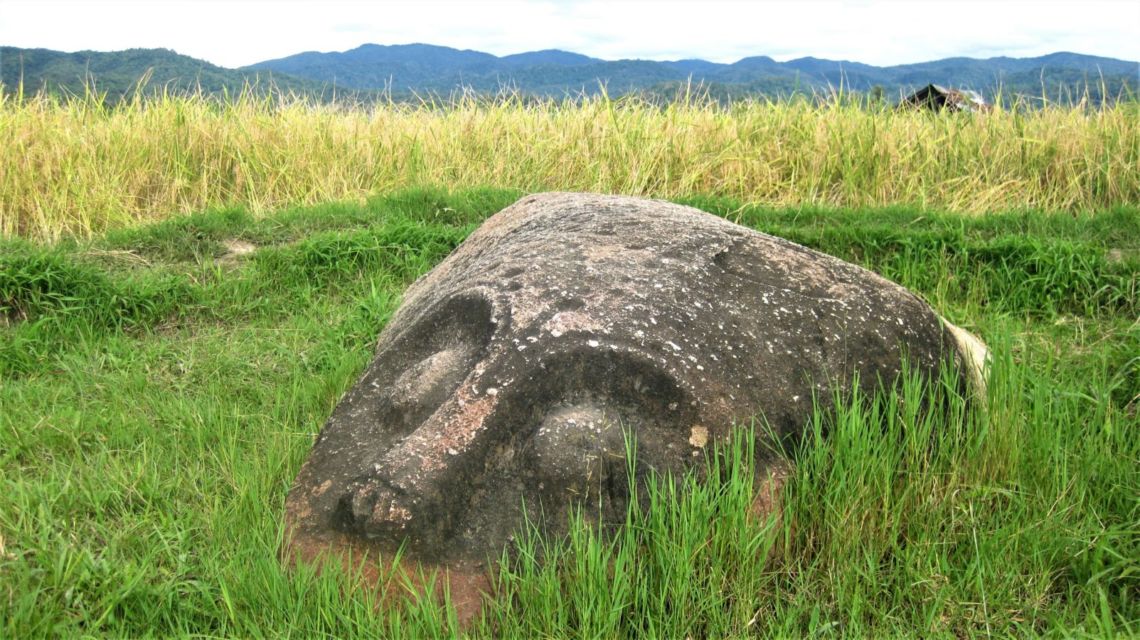 UNESCO Tetapkan 3 Kawasan di Indonesia Sebagai Cagar Biosfer Baru. Apa Itu Cagar Biosfer?