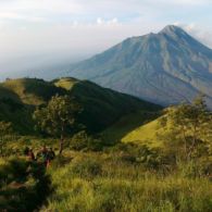 UNESCO Tetapkan 3 Kawasan di Indonesia Sebagai Cagar Biosfer Baru. Apa Itu Cagar Biosfer?