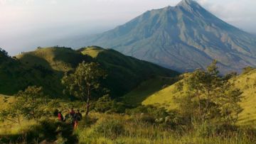 UNESCO Tetapkan 3 Kawasan di Indonesia Sebagai Cagar Biosfer Baru. Apa Itu Cagar Biosfer?