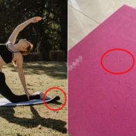 Jangan Beli Matras Yoga dengan 7 Ciri-ciri ini. Nyaman di Awal, Dipakai Lama Bakal Merugi