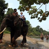 #DiIndonesiaAja-Menikmati Keindahan Tangkahan, Surga Tersembunyi di Sumatera Utara.