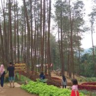 #DiIndonesiaAja-Nikmati Wisata Alam di Wisata Alam Baru Mloko Sewu, Ponorogo