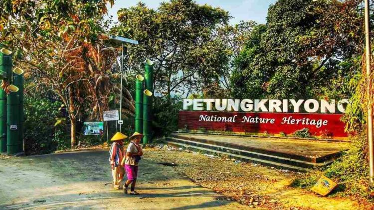 #DiIndonesiaAja-Mengenal Lebih Dekat Petungkriyono, Sudut Pekalongan yang Menyimpan Berjuta Keindahan Alam.