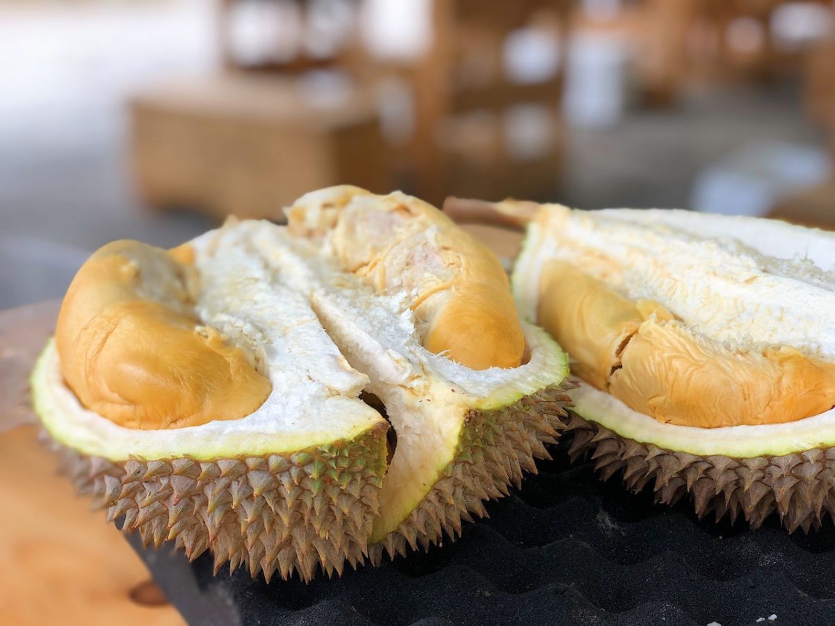 Menurut Sains, Ini 6 Hal yang Paling Bau Sedunia. Durian Termasuk Salah Satu Diantaranya Lho