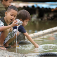 Berburu Berudu, Aktivitas Paling Sia-Sia yang Pernah Dilakukan Bocil Pada Masanya