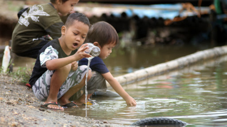 Berburu Berudu, Aktivitas Paling Sia-Sia yang Pernah Dilakukan Bocil Pada Masanya