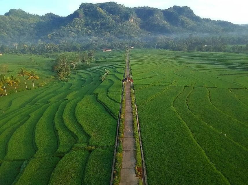 4 Alasan Kenapa Kita Nggak Perlu Nyinyirin Anak Kota yang Suka Heran Lihat Alam Terbuka~