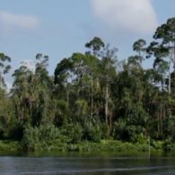 #DiIndonesiaAja-Siapkan Nyalimu! Rasakan Sensasi Petualangan Tasik Bose Serkap