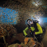 #DiIndonesiaAja-Diving di Tempat yang Tak Biasa? Taman Nukila, Maluku Utara, Spot Diving Terunik di Indonesia