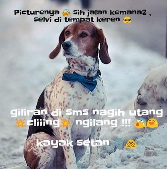 11 Meme Orang Utang yang Acapkali Nggak Ada Akhlak. Relate Banget sama Kehidupan Kita nih!