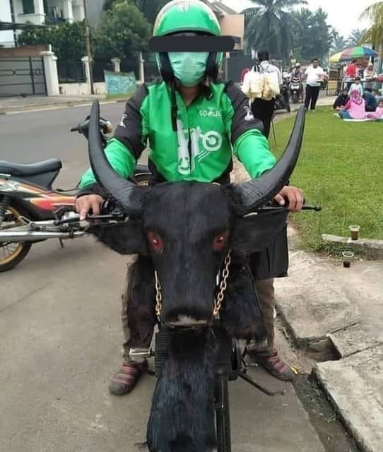 11 Bukti Bahwa Driver Ojol Adalah Manusia Serba Bisa, Setia Kawan, dan Ada di Mana-Mana. Gokil!