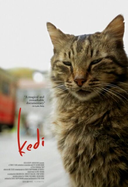 7 Rekomendasi Film Tentang Kucing. Jangan Ngaku Pecinta Kocheng Kalau Belum Nonton Film ini~