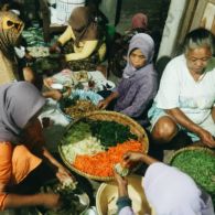 Pura-Pura Cari Emak di Rumah Orang Nikahan Adalah Cara Bocah Dapat Makanan Enak Gratisan. Cerdik!