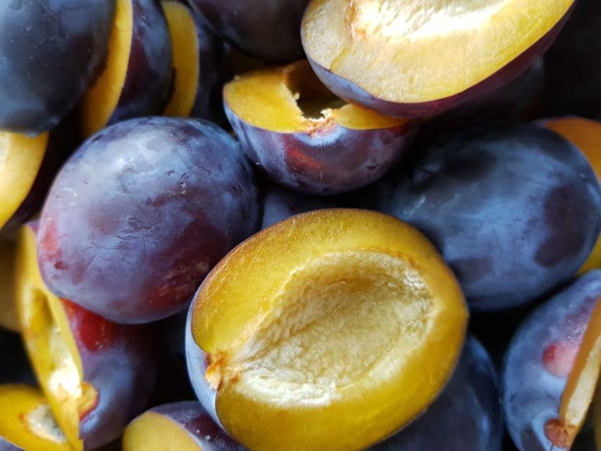 buah plum untuk diet