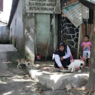 #BeraniWujudkanMimpi-Berawal dari Rasa Sayang dan Keprihatinan Aku Bermimpi Mendirikan Yayasan Penyantunan Kucing Terlantar