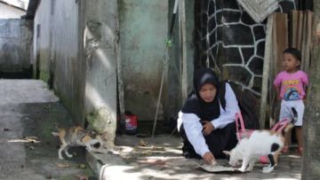 #BeraniWujudkanMimpi-Berawal dari Rasa Sayang dan Keprihatinan Aku Bermimpi Mendirikan Yayasan Penyantunan Kucing Terlantar