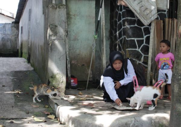 #BeraniWujudkanMimpi-Berawal dari Rasa Sayang dan Keprihatinan Aku Bermimpi Mendirikan Yayasan Penyantunan Kucing Terlantar