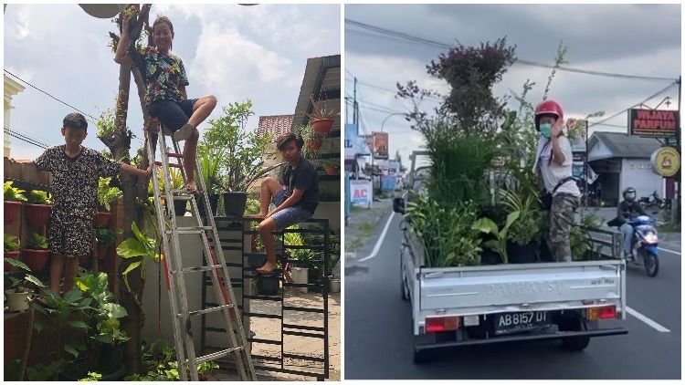 Salurkan Hobi Saat Pandemi, Soimah Hasilkan Keuntungan Puluhan Juta dari Bisnis Tanaman