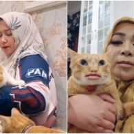 Menyesal Beli Kucing Impor, Melly Goeslaw Sadar Jika itu Adalah Cara Adopsi yang Salah