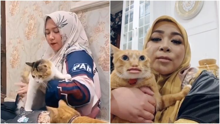 Menyesal Beli Kucing Impor, Melly Goeslaw Sadar Jika itu Adalah Cara Adopsi yang Salah